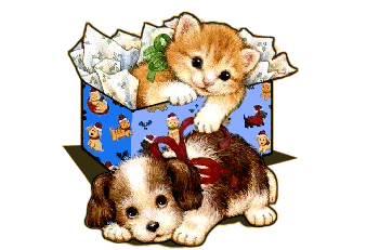 Hund und katze hunde bilder