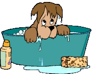 Hunde bade