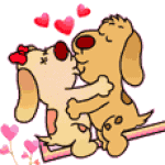 Hunde lustig hunde bilder