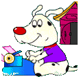 Hunde lustig hunde bilder