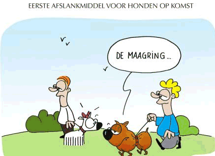 Hunde lustig