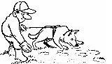 Hunde training hunde bilder