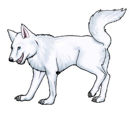 Husky