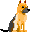 Hutehunde hunde bilder