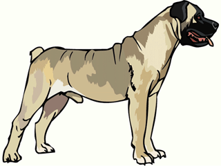 Mastino