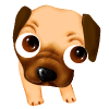 Mops hunde bilder