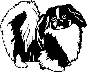 Pekinese