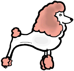 Pudel hunde bilder