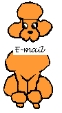 Pudel hunde bilder