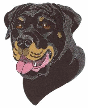 Rottweiler hunde bilder