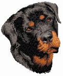 Rottweiler hunde bilder