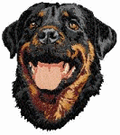 Rottweiler hunde bilder