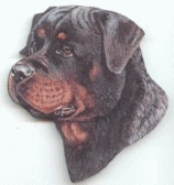 Rottweiler