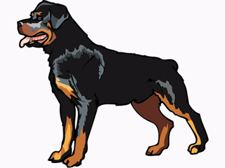 Rottweiler