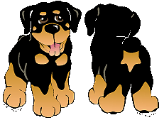 Rottweiler hunde bilder