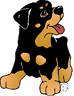 Rottweiler hunde bilder