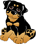 Rottweiler hunde bilder