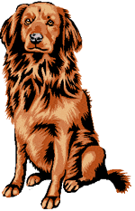Sonstige hunde bilder