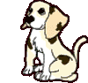 Sonstige hunde bilder