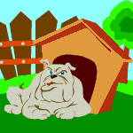 Sonstige hunde bilder