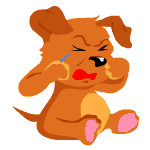 Sonstige hunde bilder