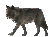Sonstige hunde bilder