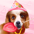 Sonstige hunde bilder
