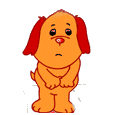 Sonstige hunde bilder