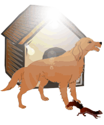 Sonstige hunde bilder