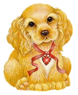 Welpe hunde bilder
