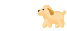 Welpe hunde bilder