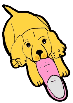 Welpe hunde bilder