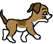 Welpe hunde bilder