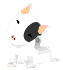 Welpe hunde bilder