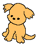 Welpe hunde bilder