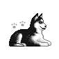 Welpe hunde bilder