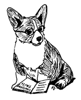 Welsh corgi