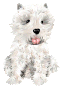 Westie hunde bilder