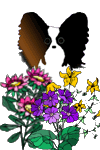 Zwergspaniel hunde bilder