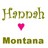 Hannah montana icons bilder