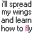 Kelly clarkson icons bilder