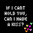 Kelly clarkson icons bilder