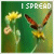 Kelly clarkson icons bilder