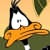 Daffy duck icons bilder