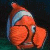 Findet nemo icons bilder
