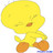 Tweety icons bilder