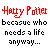 Harry potter icons bilder
