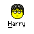 Harry potter icons bilder