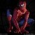 Spiderman icons bilder