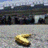 Banane